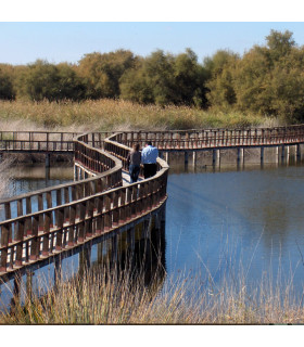 TABLAS DE DAIMIEL - ALMAGRO