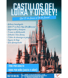 CASTILLO LOIRE - PARIS (23/06 A 28/06)