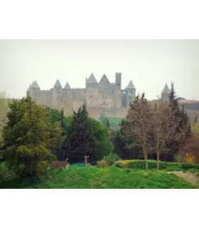 CARCASSONNE MEDIEVAL Y SUR DE FRANCIA 03/08 a 08/08