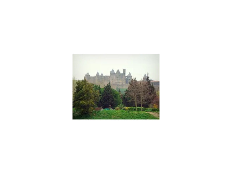 CARCASSONNE MEDIEVAL Y SUR DE FRANCIA 03/08 a 08/08