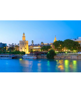 PUENTE DE LA INMACULADA - SEVILLA