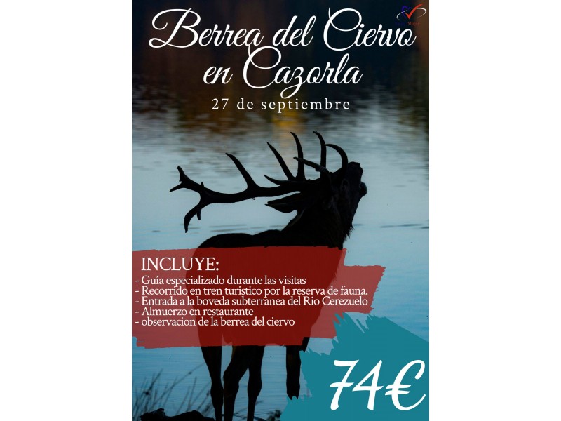 BERREA DEL CIERVO EN CAZORLA 27/09/25