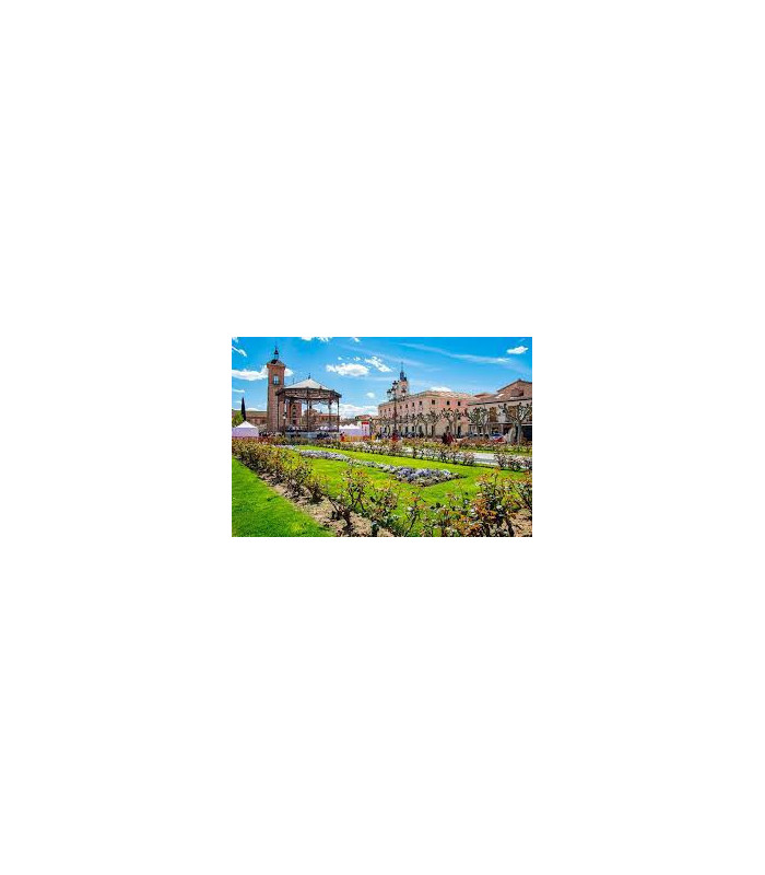 ALCALA DE HENARES