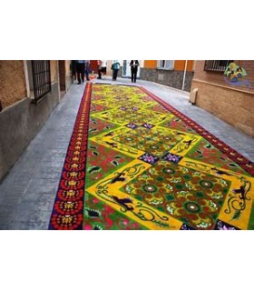 ALFOMBRAS " ELCHE DE LA SIERRA " 07/06/26