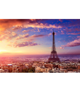 PARIS - DISNEYLAND (FAMILIAS)