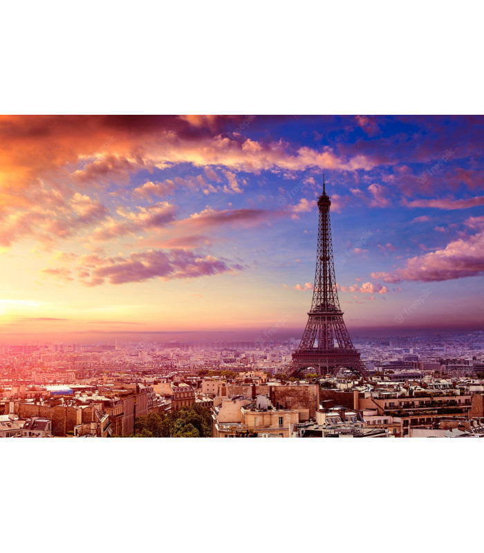 PARIS - DISNEYLAND (FAMILIAS)