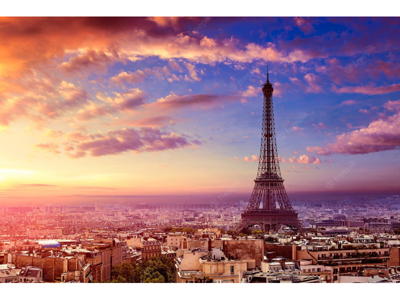 PARIS - DISNEYLAND (FAMILIAS)