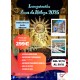 LUCES DE NAVIDAD - MALAGA 2023