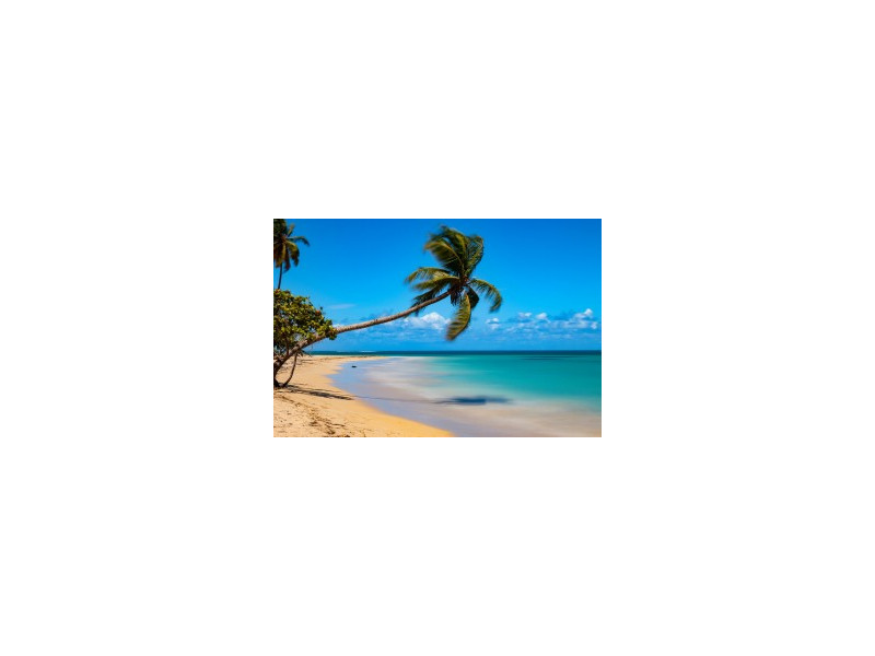 Dominicana de Lujo